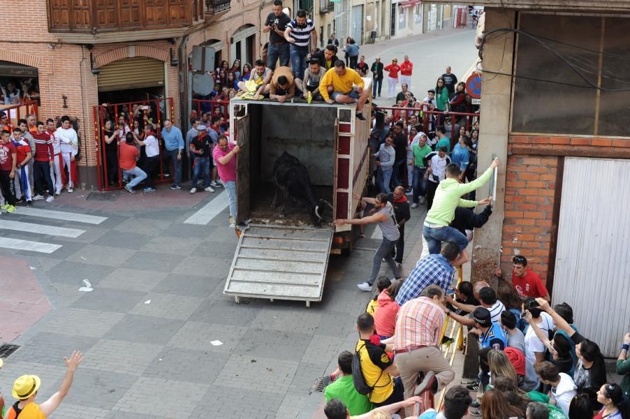 Becerrada, encierros y vaca de la sangría