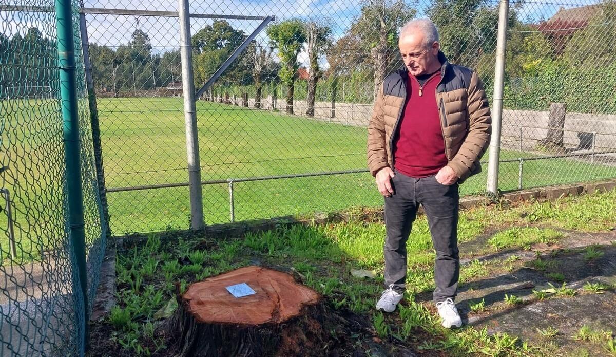 Delfín Guldrís 'Fino', junto al abeto ahora talado en el campo de fútbol de la Merced