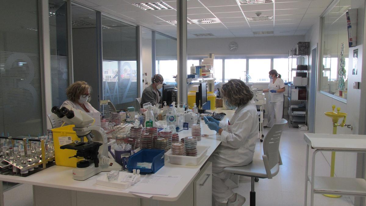 Laboratorio del hospital de Gandia donde se analizan las PCR