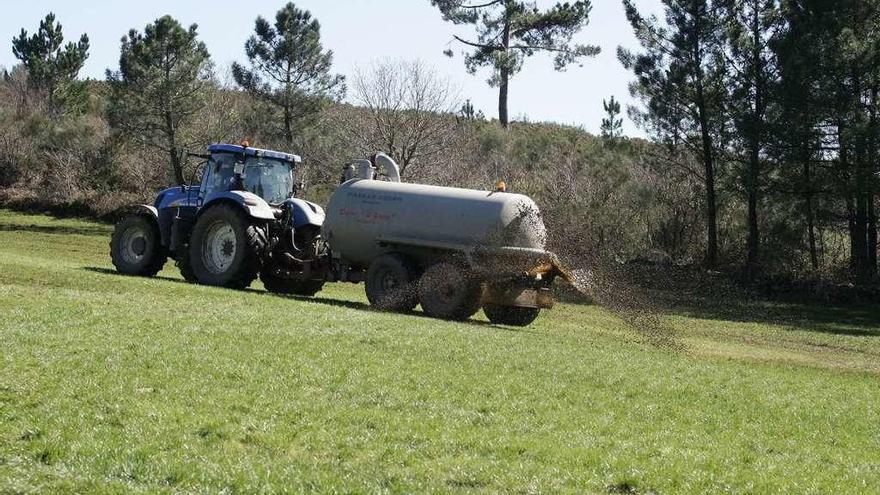 Un tractor esparce purín en una finca de la parroquia de San Paio de Senra, en Rodeiro. // Bernabé/Gutier