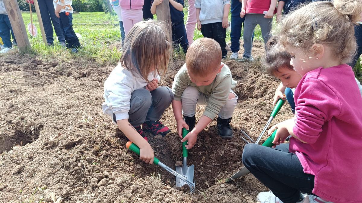 Un grupo de escolares de tres años comienza las labores de jardinería para plantar su árbol.