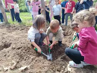 Jardineros por un día: los escolares del Peña Careses contribuyen al medio ambiente