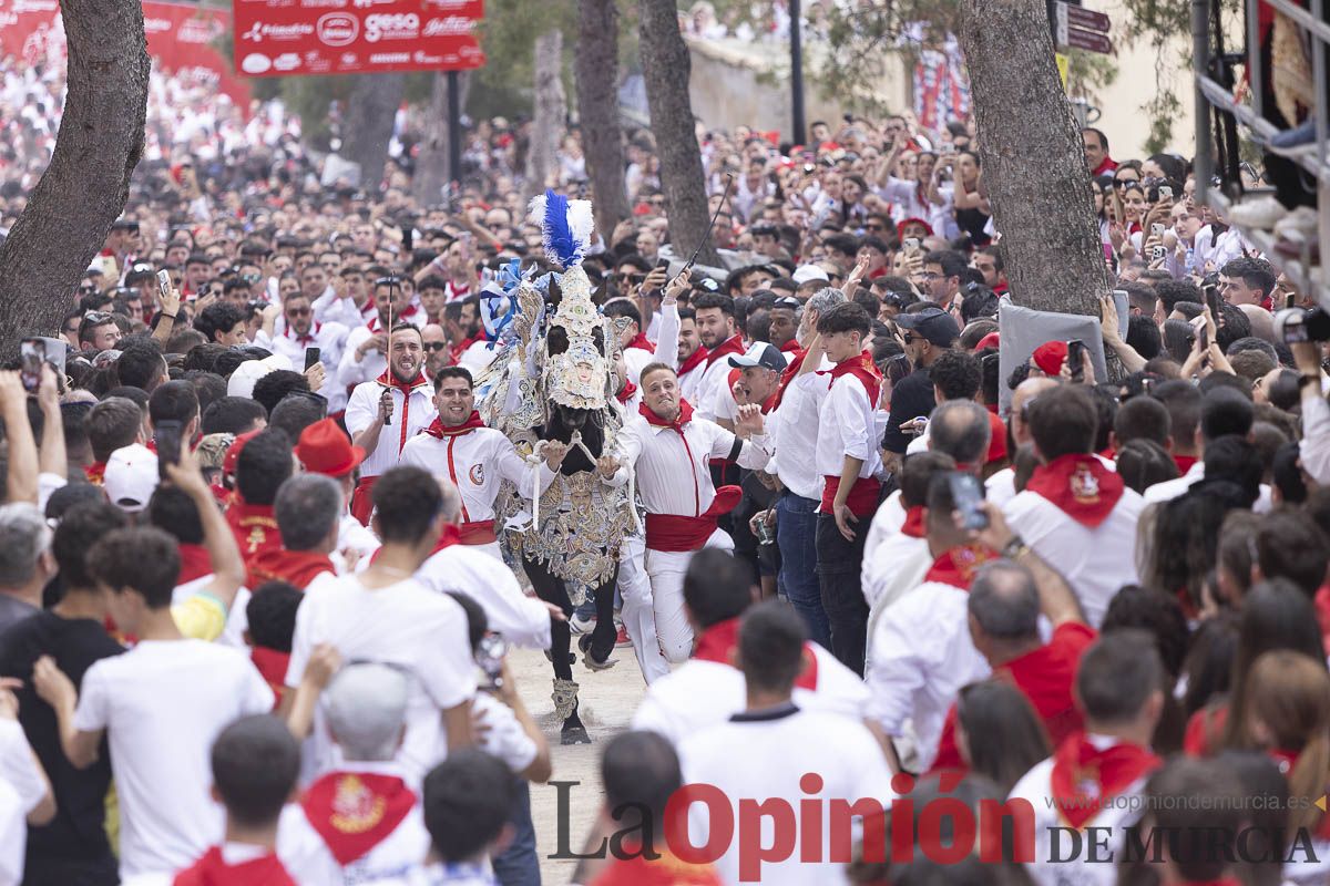 Así se ha vivido la carrera de Los Caballos del Vino en Caravaca