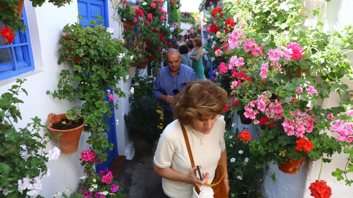 Visitantes en los Patios de Córdoba.