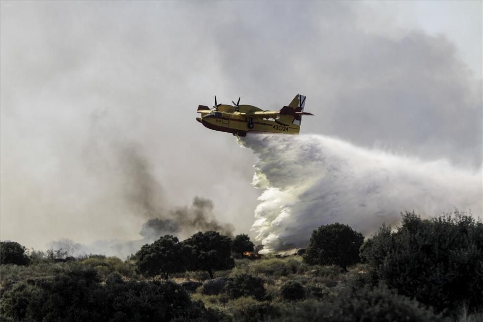 Incendio forestal en Cáceres