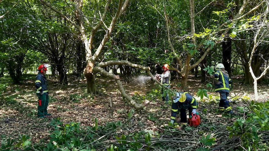 Así es un día de trabajo de una brigada de prevención de incendios forestales en un monte de Bergantiños
