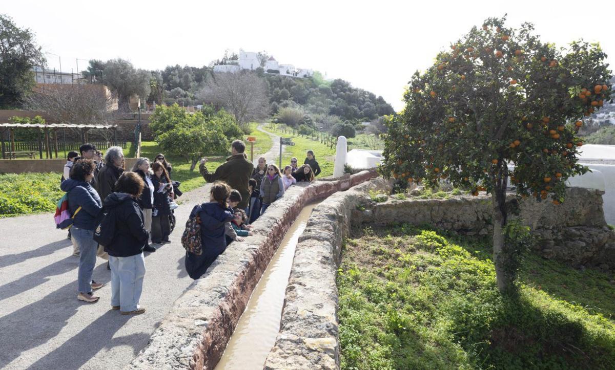 Abárzuza en una visita al molino de Can Planetes en febrero en Santa Eulària. |  | VICENT MARÍ