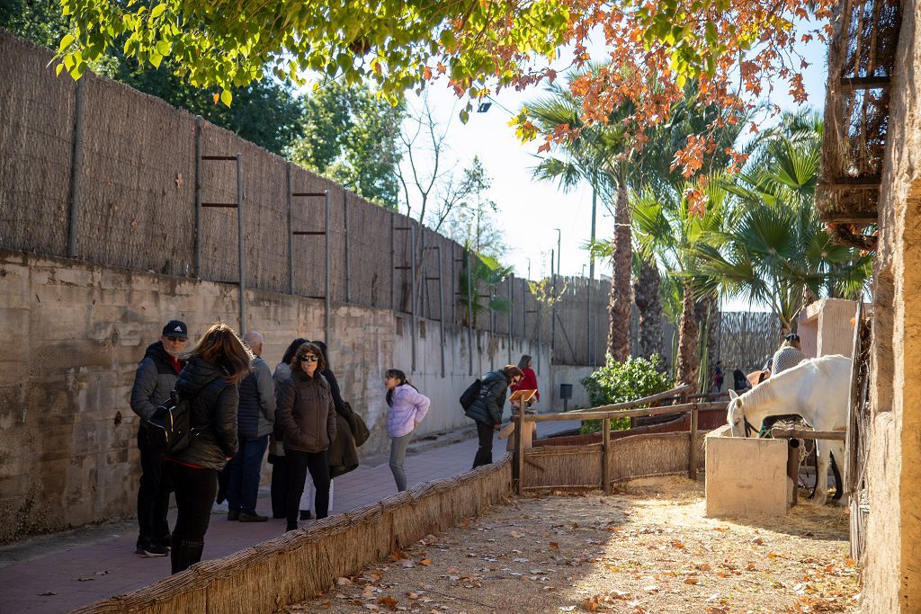 El belén viviente de El Raal, en imágenes