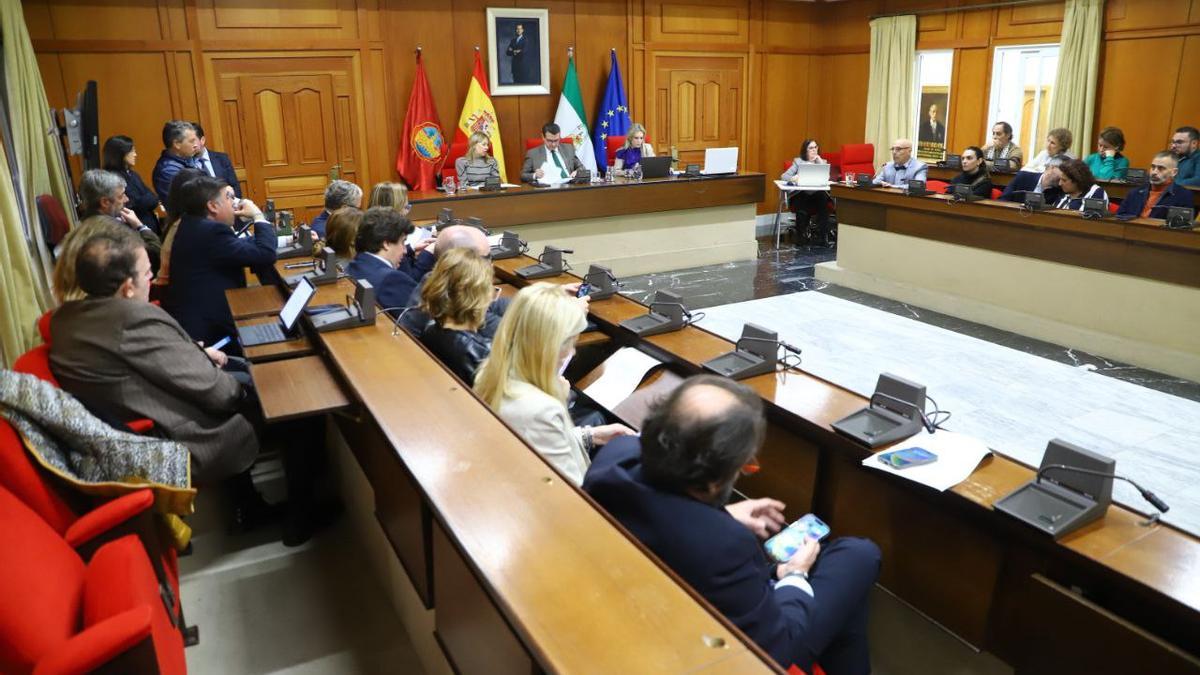 Pleno de noviembre del Ayuntamiento de Córdoba.