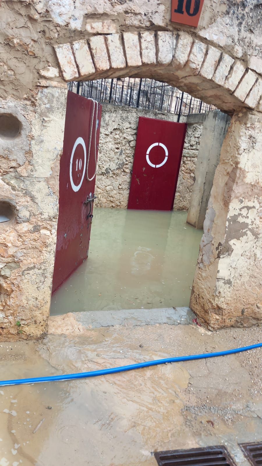 La plaza de toros de Bocairent, inundada por las últimas lluvias