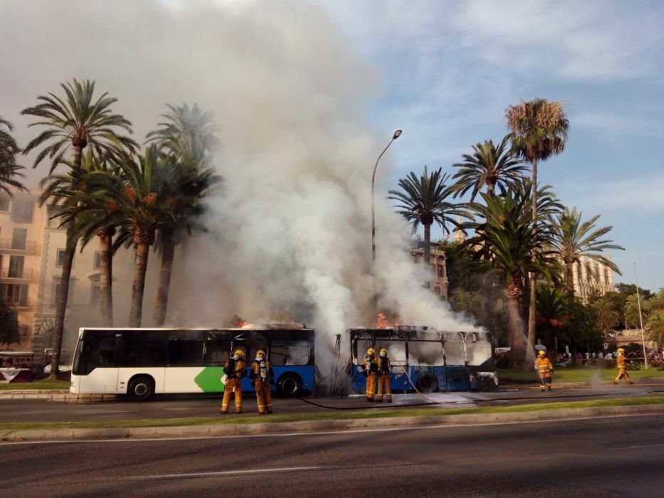 Se incendia un autobús de la EMT en pleno Paseo Sagrera de Palma