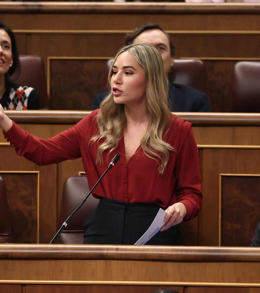 El Congreso no dispone de ninguna herramienta para verificar los currículums de los diputados