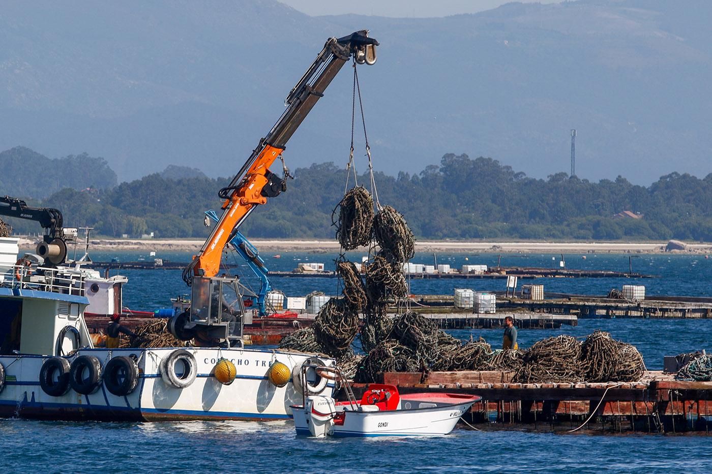 Trabajos en una batea de mejillón en O Grove