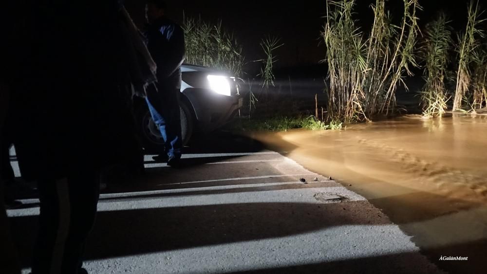 Veïns de Verges  amatents al nivell del Ter