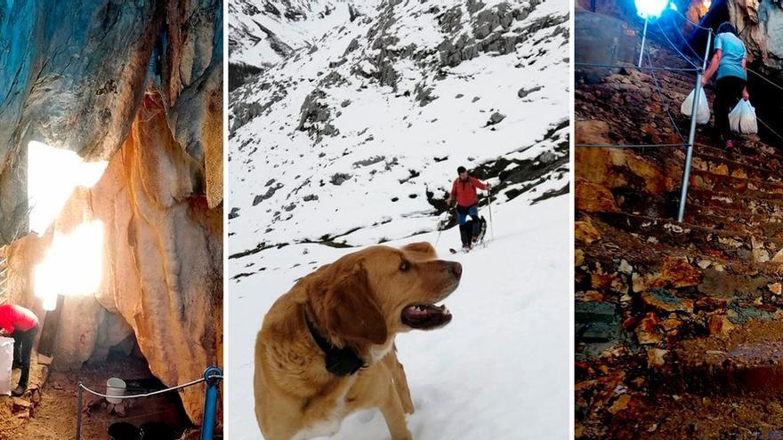 El vídeo viral de una quesería de Asturias desenterrando su cueva en medio del temporal de nieve