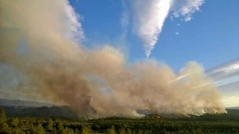 Incendio forestal en Bolbaite