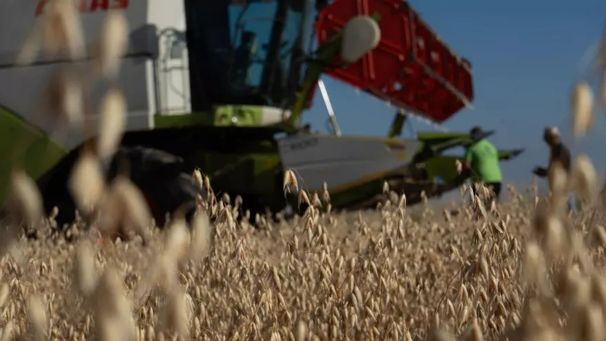 La contratación agraria, en caída libre en Zamora
