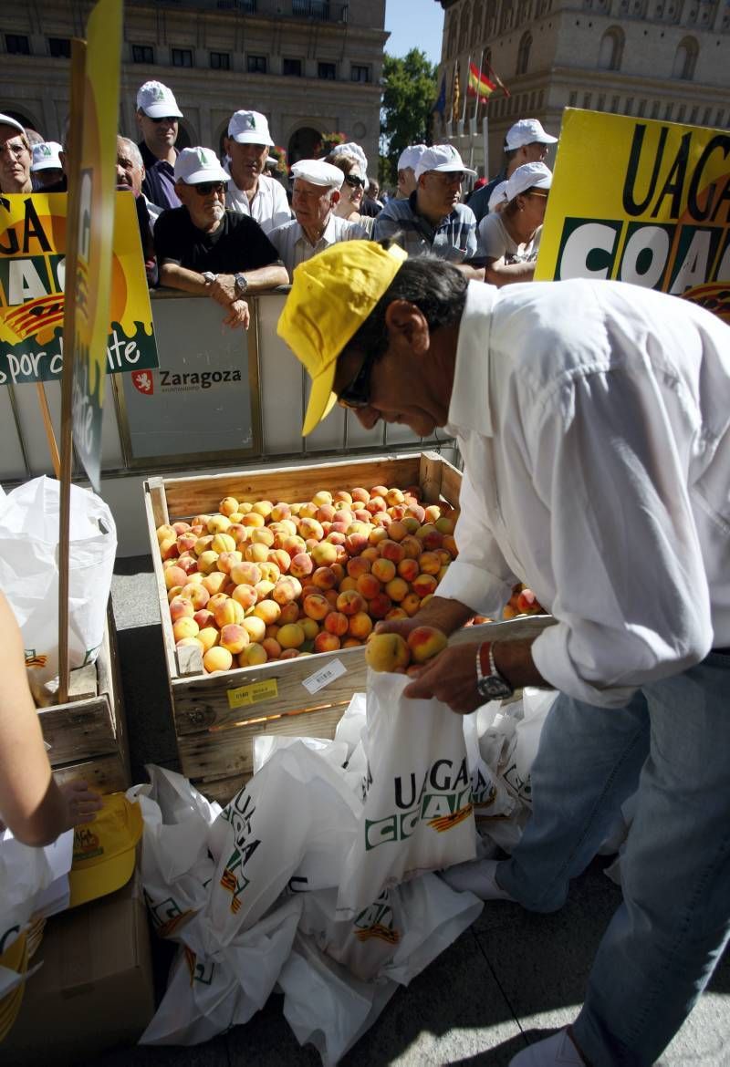 El sector reparte 4.000 kilos de fruta en la Plaza del Pilar