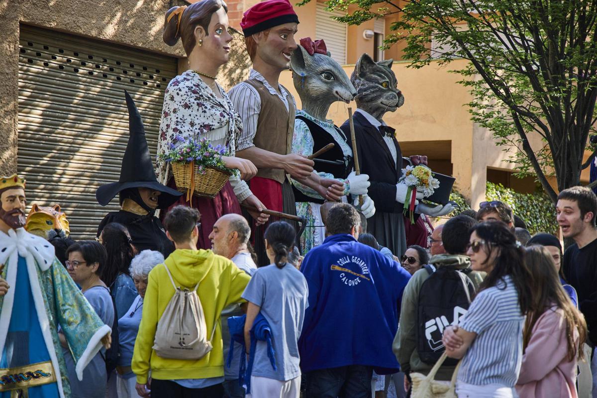 Plantada de gegants a l'Ajuntament de Salt