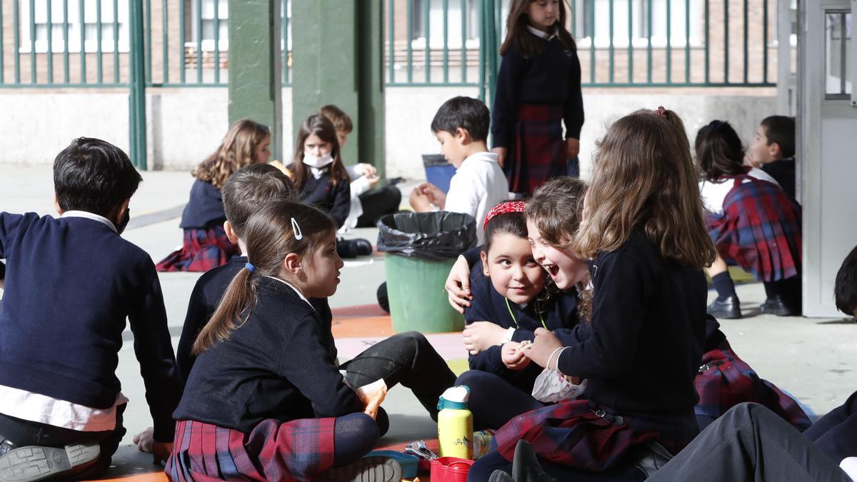 “Es importante  respetar y entender  su miedo mientras  los acompañamos  en la readaptación”