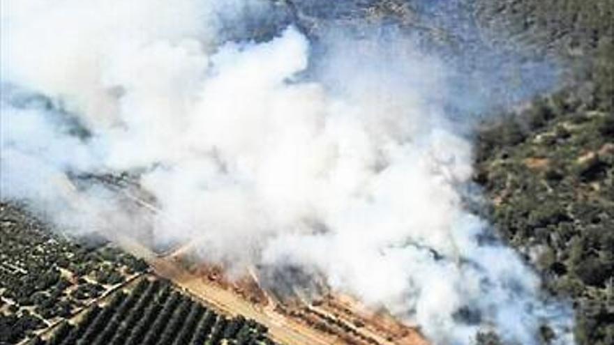 ARDE UNA HECTÁREA EN ALMENARA EN UN INCENDIO FORESTAL