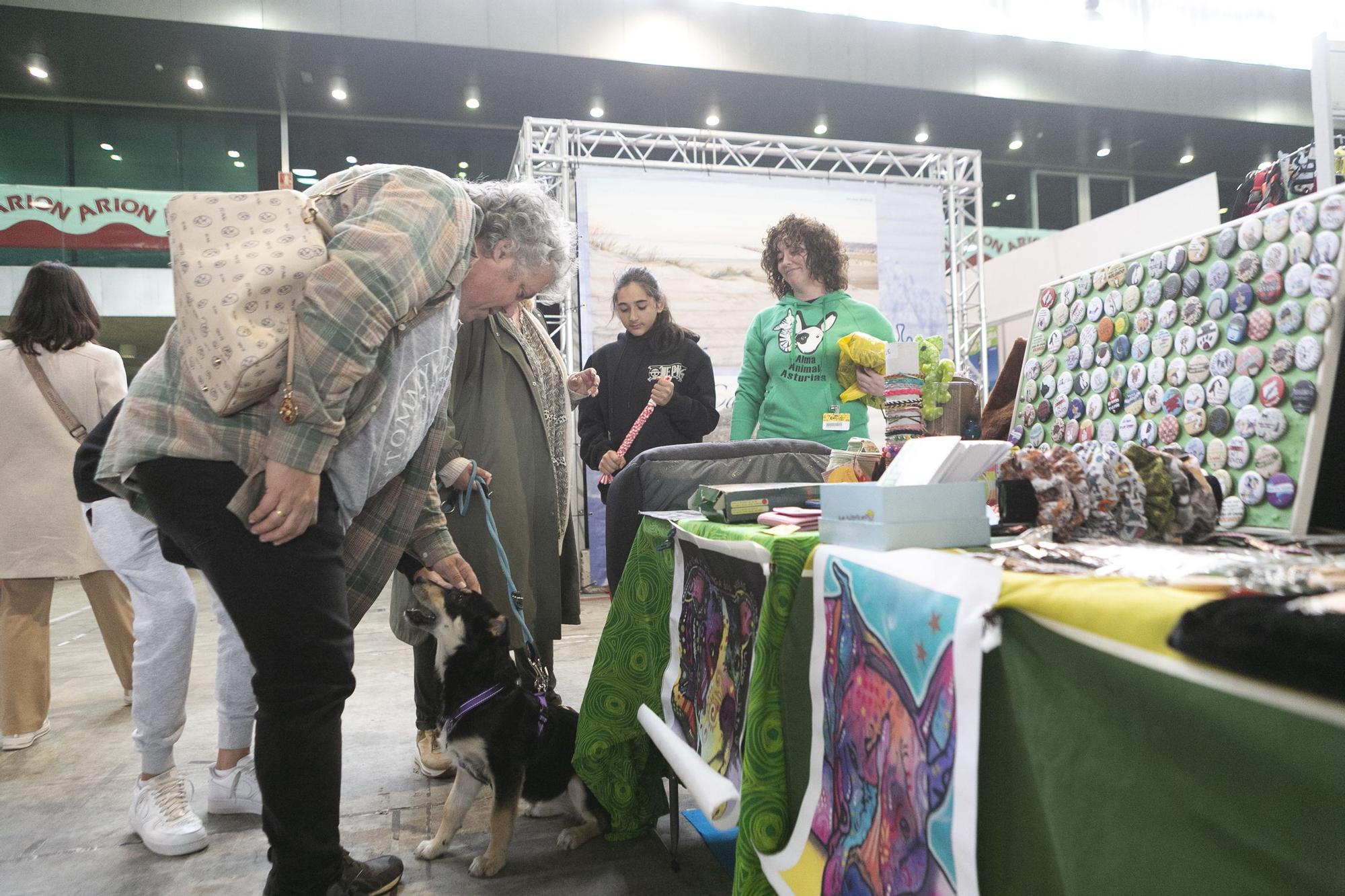 Inauguración del salón asturiano de las mascota.