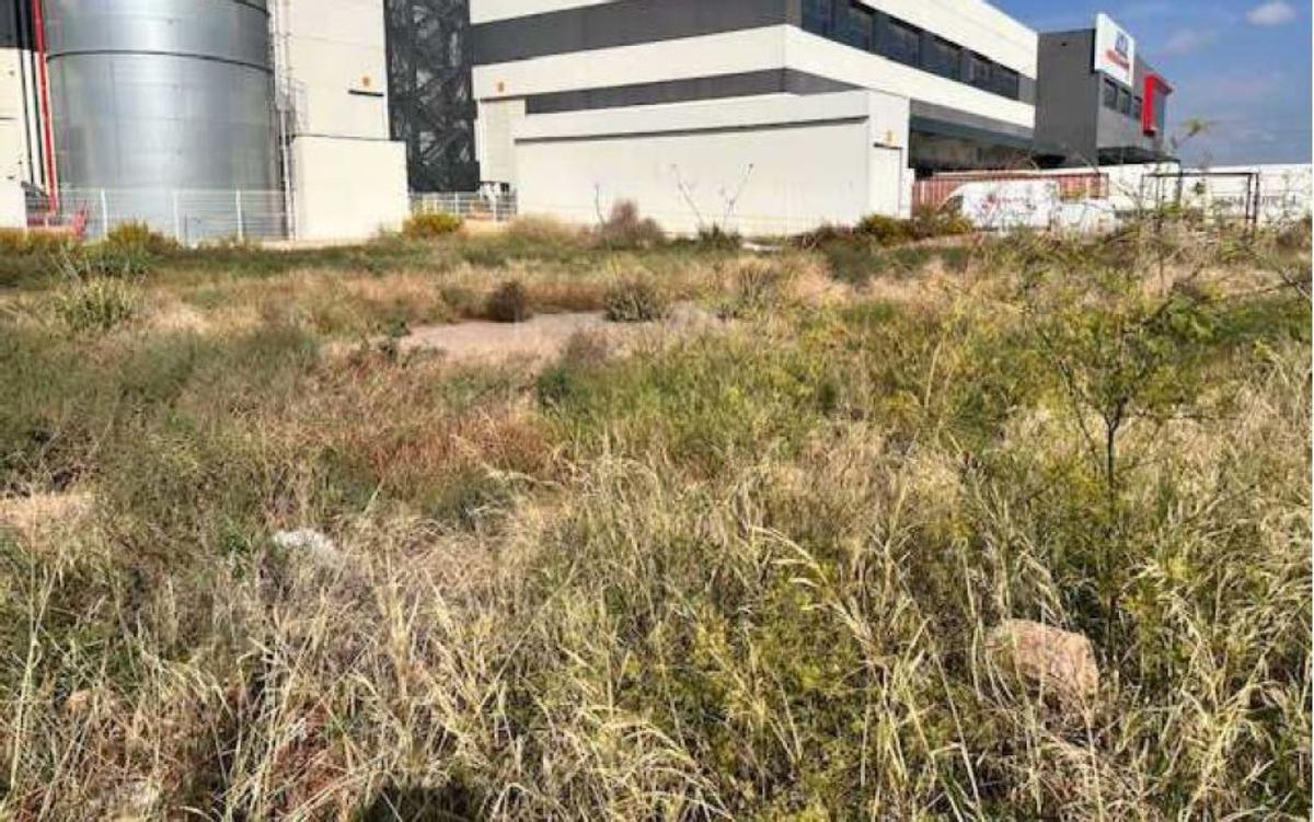 Parcela en el polígono Sepes de Sagunt.