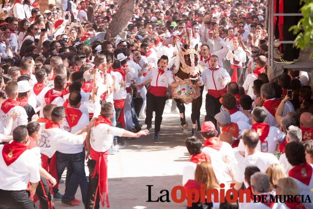 Carrera de los Caballos del Vino