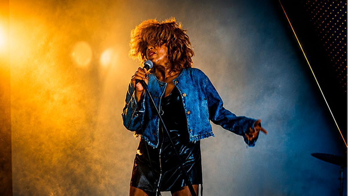 Tributo Tina Turner