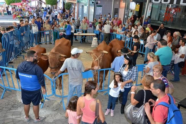 FIESTAS DE SAN GREGORIO