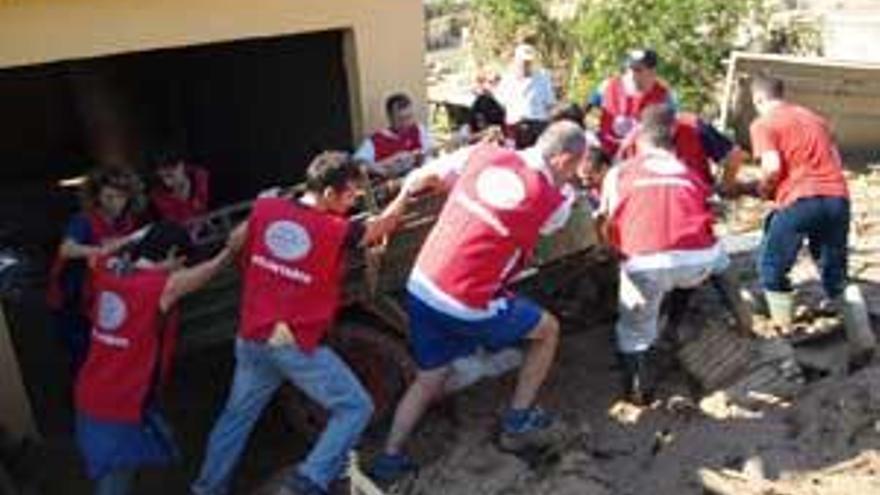 Futuros voluntarios