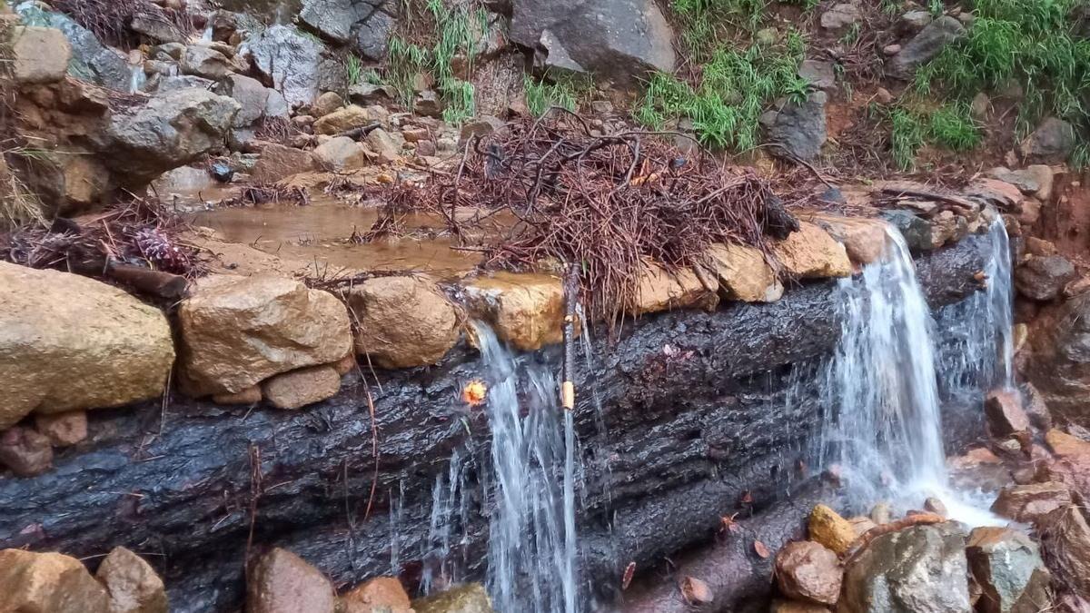 Uso de los troncos quemados en el incendio de Sierra Bermeja para crear diques naturales