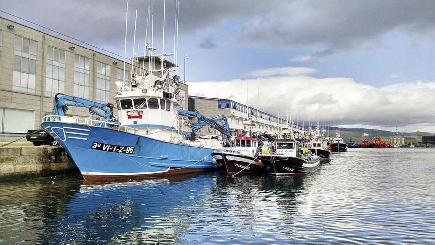 Buques de cerco amarrados en el puerto de Vigo. // A.A.