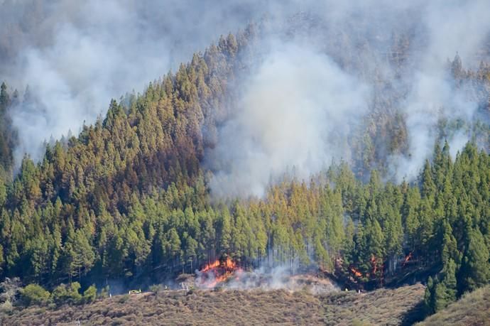 10-08-2019 ARTENARA. Incendio en la cumbre de Gran Canaria  | 10/08/2019 | Fotógrafo: Andrés Cruz