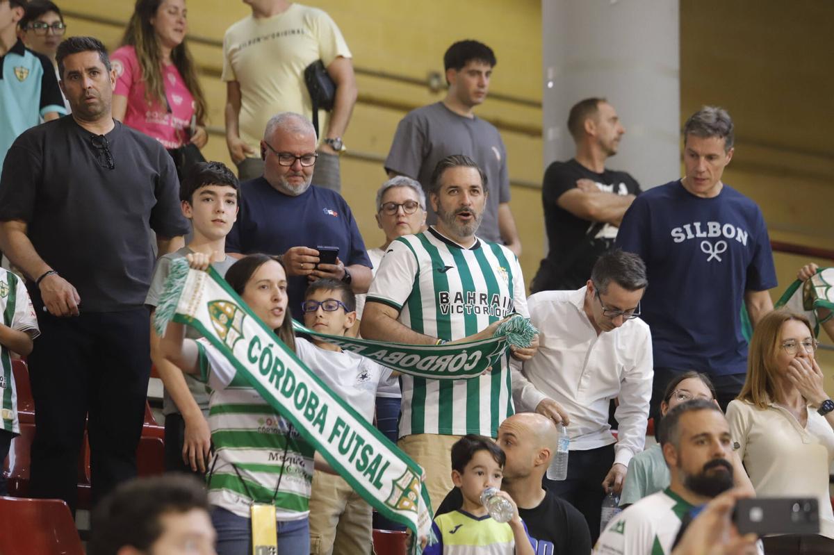 El Córdoba Futsal - Viña Albali Valdepeñas, en imágenes El Córdoba Futsal - Viña Albali Valdepeñas, en imágenes