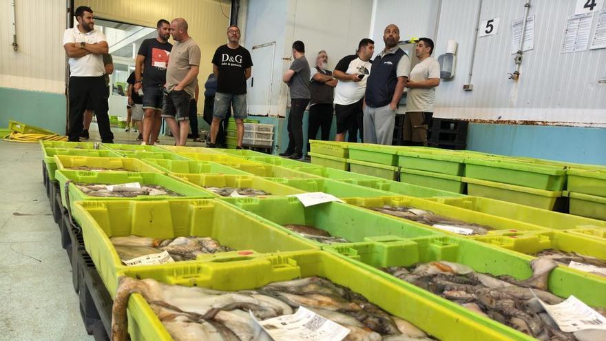Las capturas de pulpo se hunden en el arranque de campaña: "A maioría dos barcos veñen para a terra coa metade do tope"