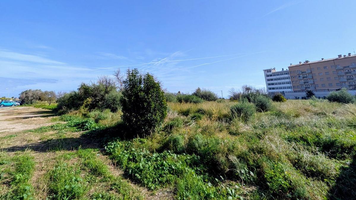 El Ayuntamiento de Benicarló da un paso decisivo para reactivar el PAI Povet, tras 25 años de estancamiento.