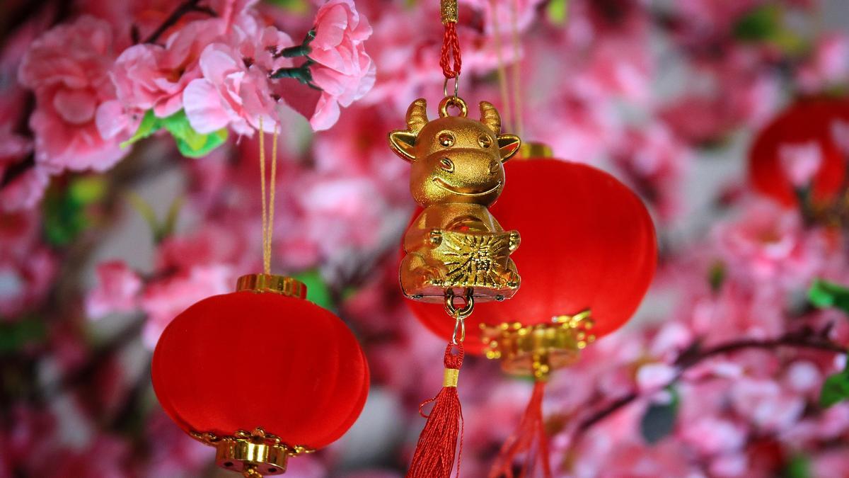 Chinese horoscope 2021: What animal are you and what the year of the Ox holds for you