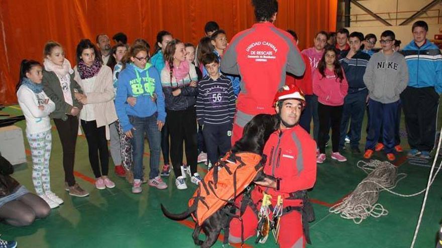 La Unidad Canina del Consorcio de Bomberos se prepara para su posible intervención en Nepal