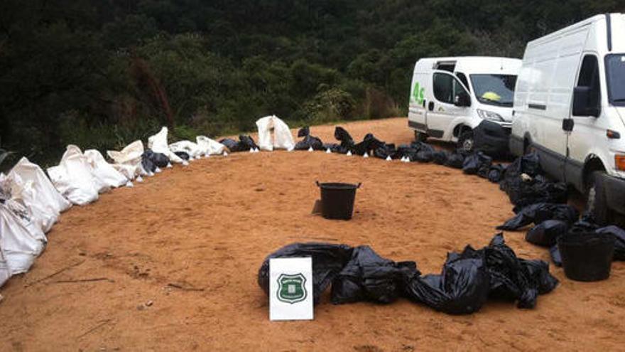 Els cadàvers dels animals van ser trobats a una finca de la mare de la veterinària