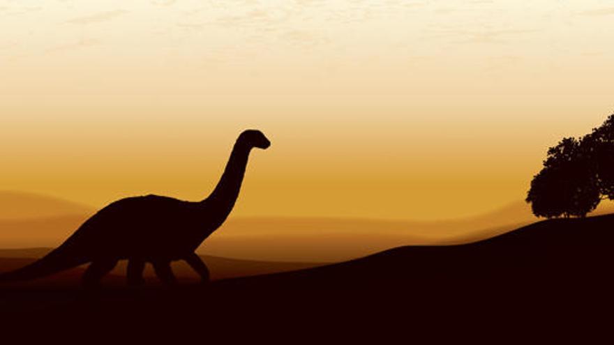 Nuevas ideas sobre la evolución de los dinosaurios vegetarianos - Levante-EMV Nuevas ideas sobre la evolución de los dinosaurios vegetarianos - Levante-EMV