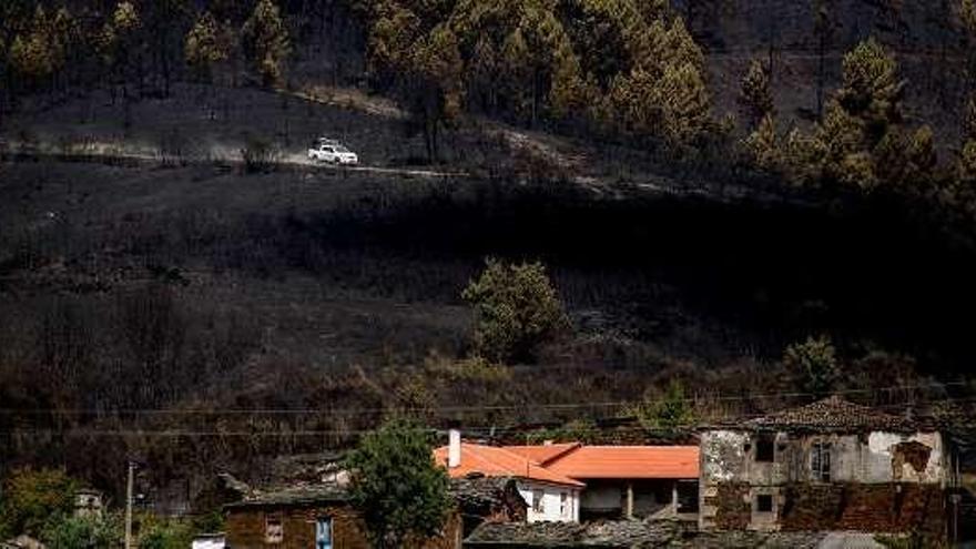 Zona de A Gudiña afectada por el fuego. // Brais Lorenzo