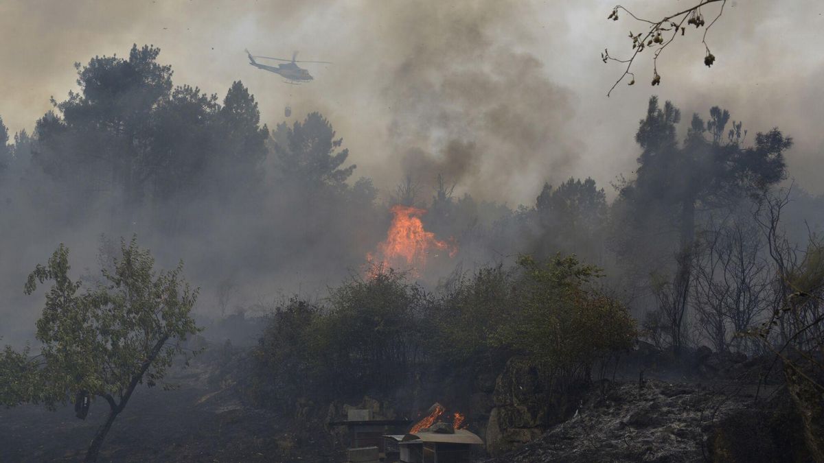 Una periodista de TVE carga contra las televisiones por lo que hacen en los incendios en España: "Ya basta de peticiones para estar al límite"