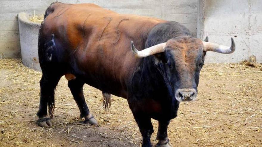 El concurso de ganaderías cierra el abono de primavera en Zaragoza