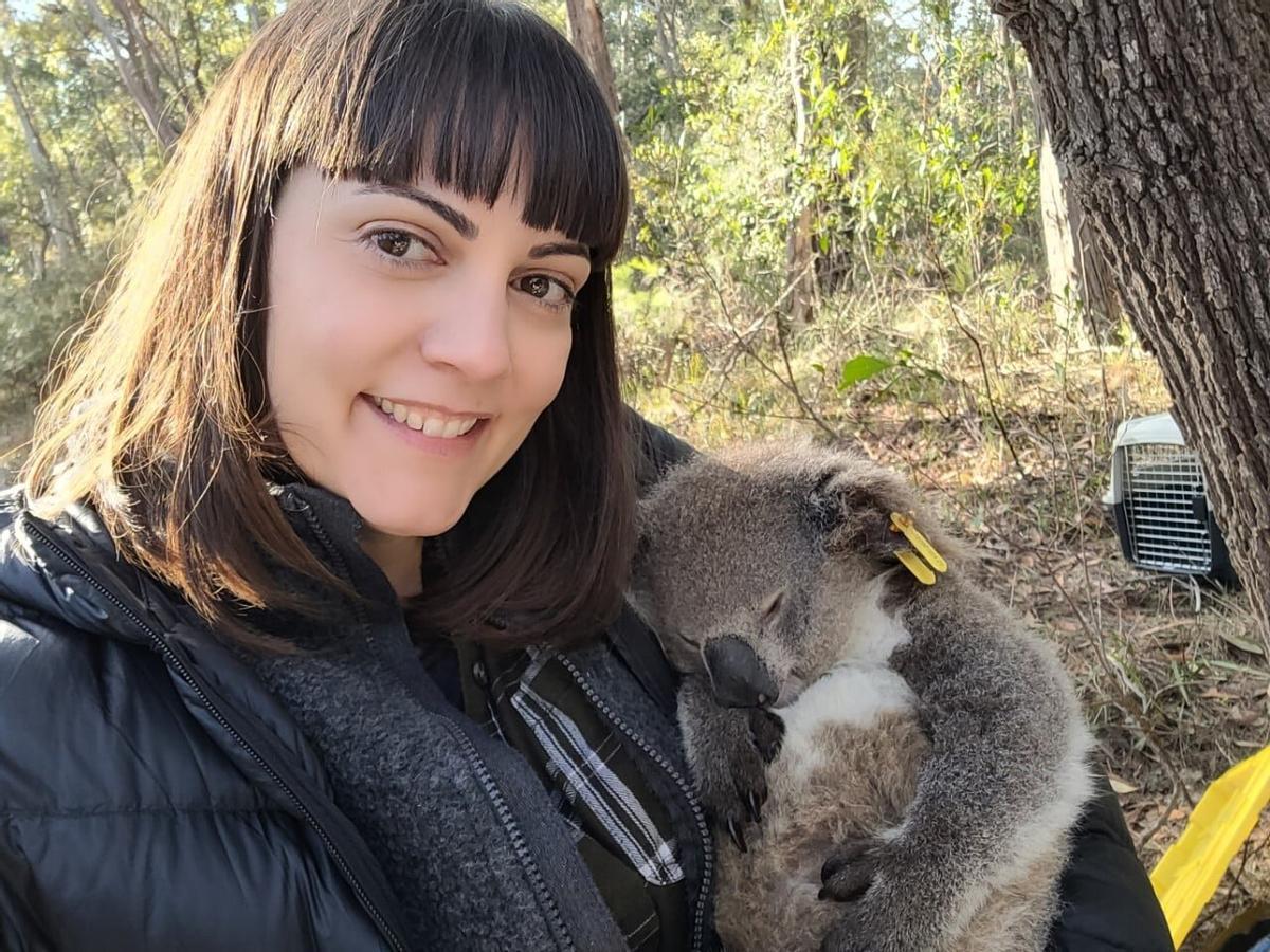 La Dra. Valentina Mella sostiene un koala marcado.