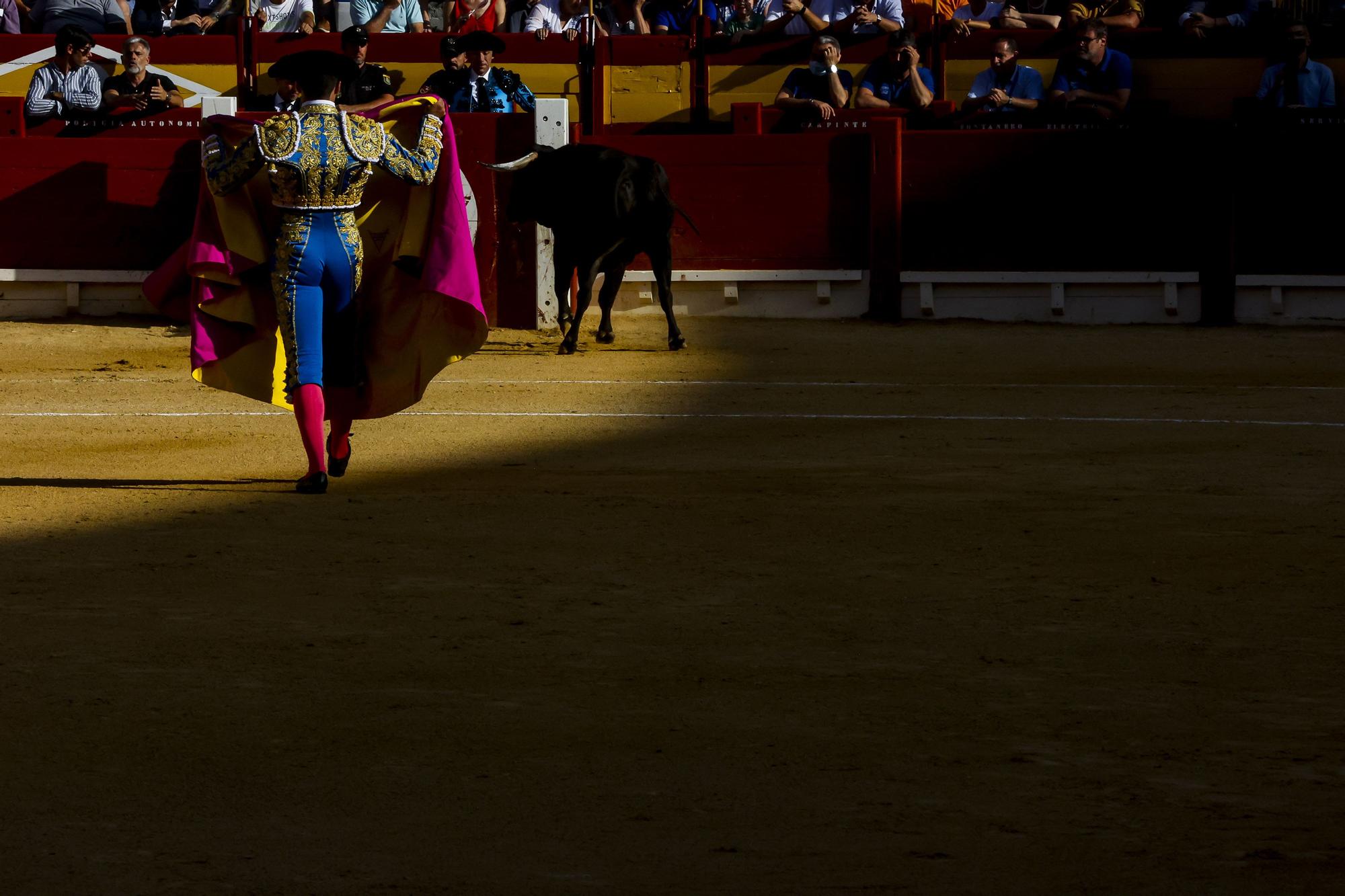 Novillada de Zacarías Moreno para cerrar la Feria de Hogueras