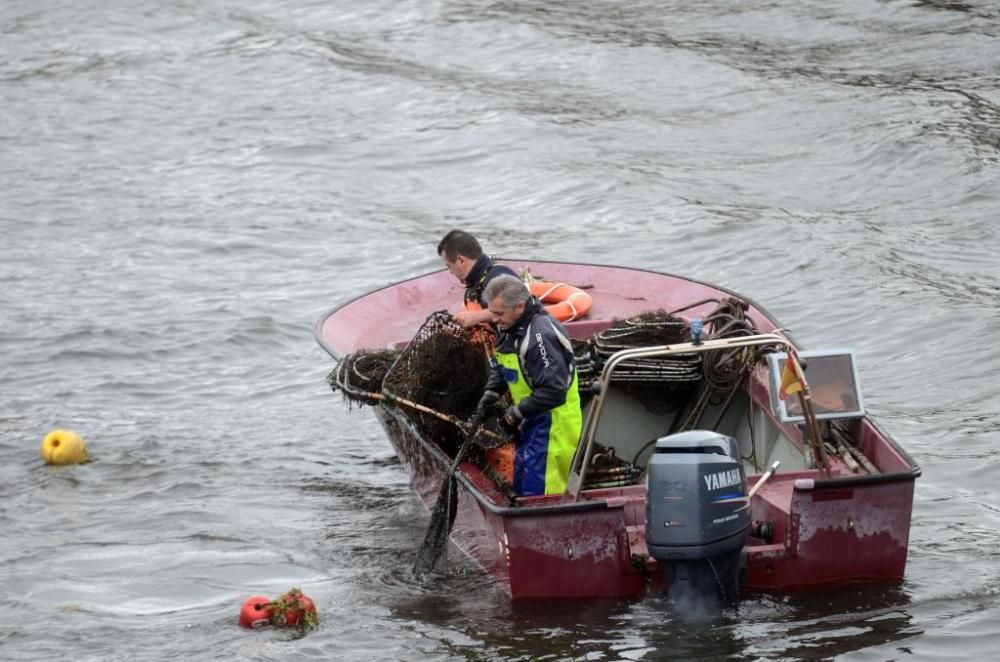 Pesca de lamprea en el río Ulla