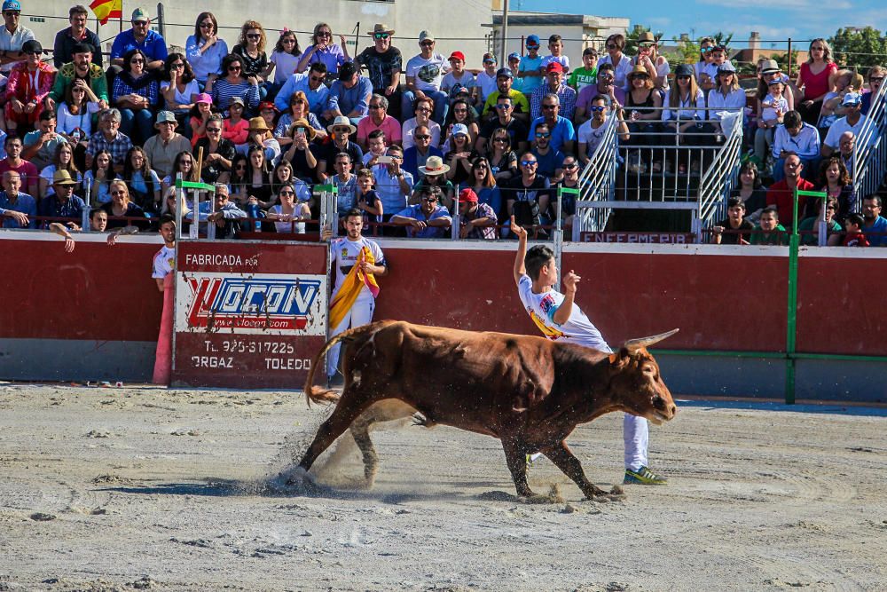 El concurso de recortadores vuelve tras 30 años de ausencia