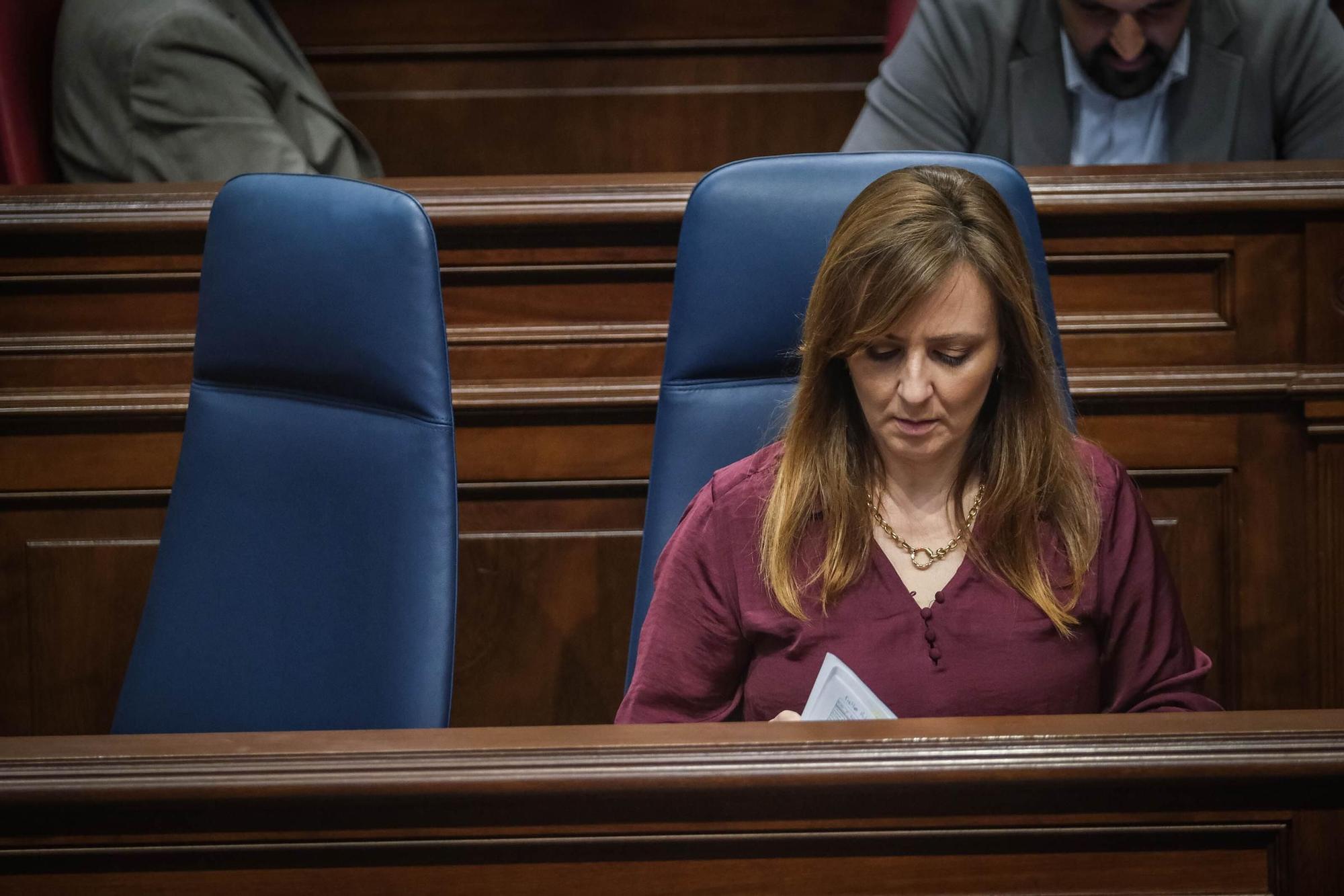 Pleno del Parlamento de Canarias