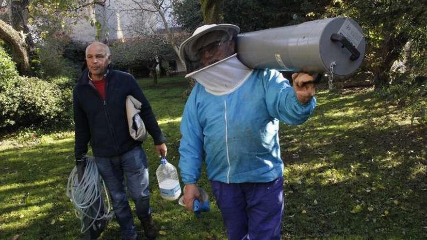 Apicultores en la finca junto a la excolegiata para retirar un nido. // S.Á.